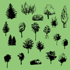 Fototapeta premium large set of vector silhouettes of trees