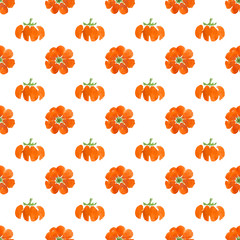 Small pumpkin