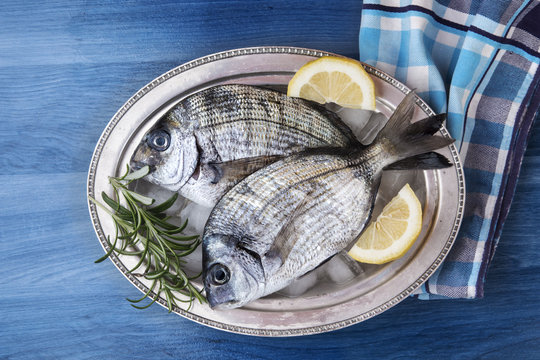 Two fresh fish with ice, lemon, salt and rosemary on a rustic table