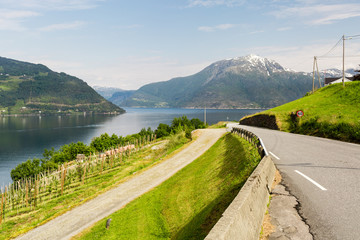 Landscape near Hardangerfjord in Norway