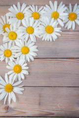 Beautiful Daisy flower lies on a wooden Board with texture
