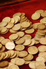 collection coins of Nazi Germany