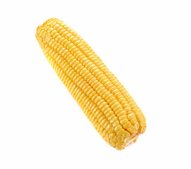 ears of corn on white background