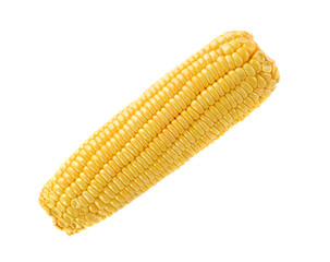 ears of corn on white background