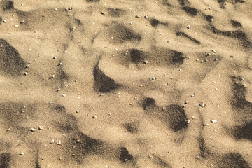Fototapeta na wymiar Sand dunes with pebbles, low angle.