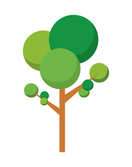Tree icon. Plant and nature design. vector graphic