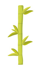 Fototapeta na wymiar Bamboo design. Bamboo and leaf icon. vector graphic