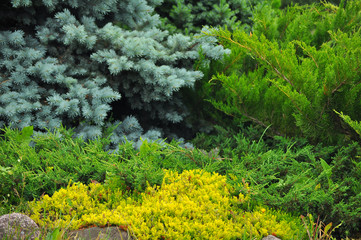 Garden landscape