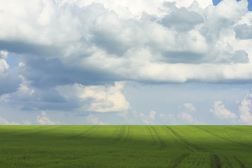 natural background with blue sky with clouds and green grass