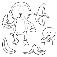 vector set of banana