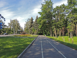 urban landscape street sidewalk and road trees