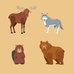 Forest animals. cartoon design. Colorfull illustration