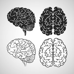 Brain design. organ icon. Flat illustration, vector graphic