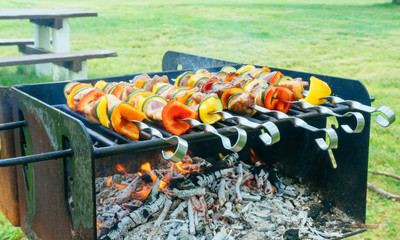 Shish Kebab cooking on the Nature