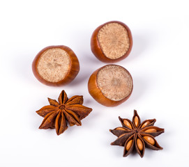 fresh hazelnuts photo illustration