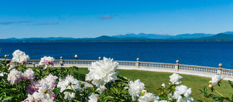Fototapeta perennial garden with spring flowers blooming offering a view to the lake and mountains  
