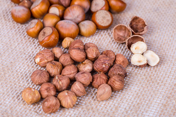 fresh hazelnuts photo illustration