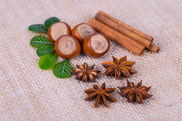 fresh hazelnuts photo illustration