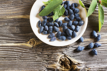 Berries ripe garden honeysuckle on a dark wooden background