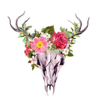Deer animal skull with flowers. Watercolor