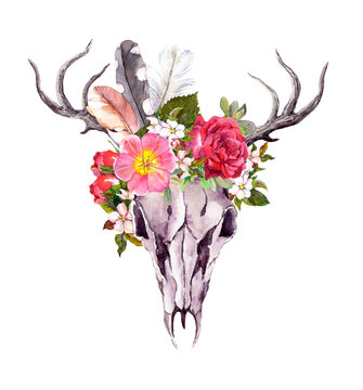 Deer animal skull - flowers, feathers. Watercolor in vintage style