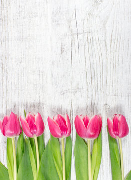Tulips on wood background. Space for text.