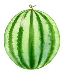 watercolor hand painted  watermelon - 113778467