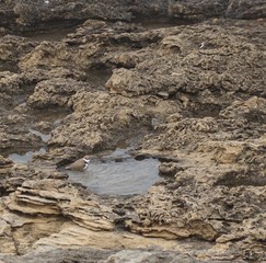 Stein-Textur - Hintergrund