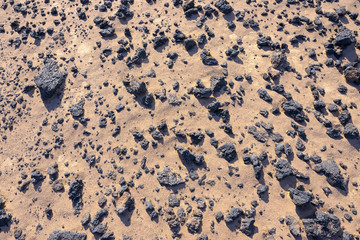 Earth Surface