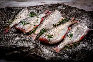 Fresh roach with fresh herbs on the board