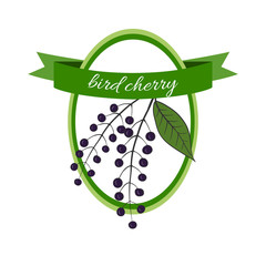 Handdrawn vector illustration bird cherry. Medicinal berry.  For traditional medicine, gardening or cooking design, package, wrapper, label