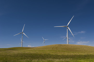 Fototapeta premium Palouse Wind Farm. Palouse Wind is a 105 megawatt wind farm located in northern Whitman County. Wind has emerged as the country’s fastest-growing source of new energy. 