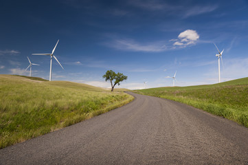 Palouse Wind Farm. Palouse Wind is a 105 megawatt wind farm located in northern Whitman County. Wind has emerged as the country’s fastest-growing source of new energy. 