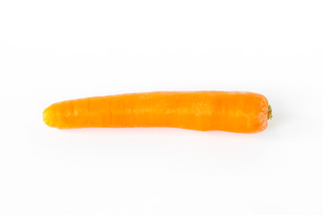 carrot on white background