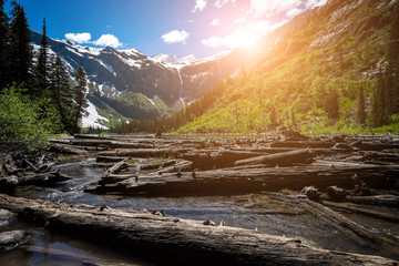 Avalanche Lake in Sunlight in Glacier National Park in Montana
