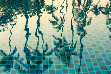 Palm trees reflected in the water of the pool.
