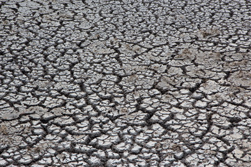 dry earth and cracked ground texture, broken split land with soil background