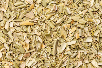 オリーブリーフ