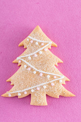 Christmas gingerbread