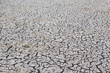dry earth and cracked ground texture, broken split land with soil background