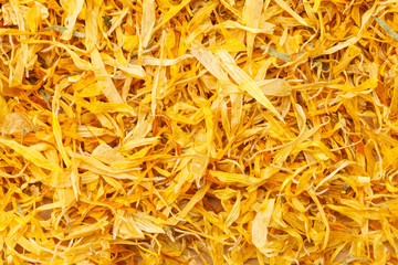 マリーゴールド（エジプト）