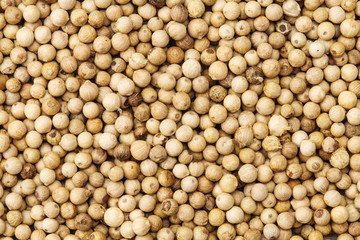 ホワイトペッパー