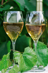 Vinnaya theme.