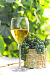 Vinnaya theme.