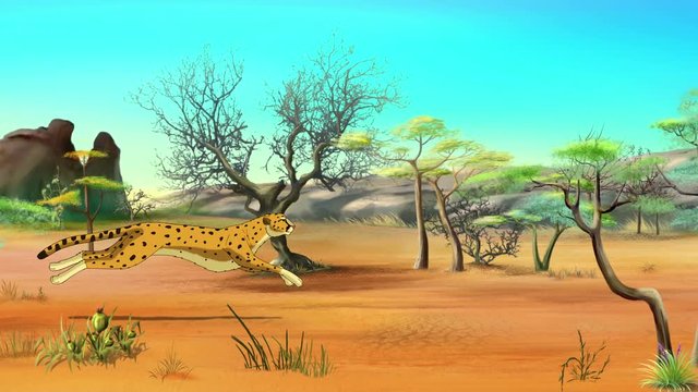 African Cheetah Running on Savannah. Handmade animation in UHD.
