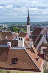 Obraz premium Tallin Estonia