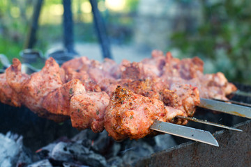 Roast pork Kebabs On BBQ Grill.selective focus