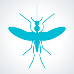 Mosquito aedes, zika virus.