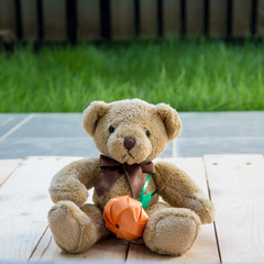 Teddy bear on wood pallet background