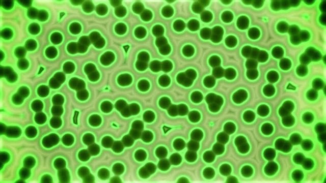 cell splitting, dividing and mixing simplified scientific motion background green